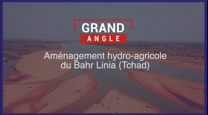 Agriculture au Tchad : nourrir Ndjamena demain