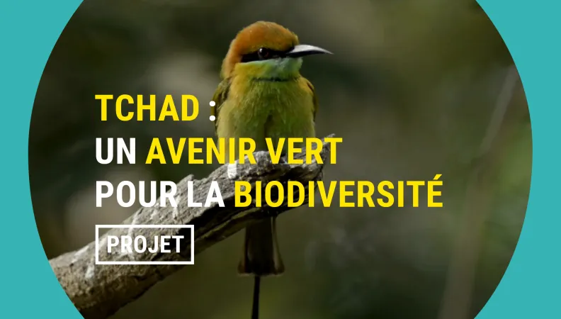 Au Tchad, sauver la biodiversité change des vies