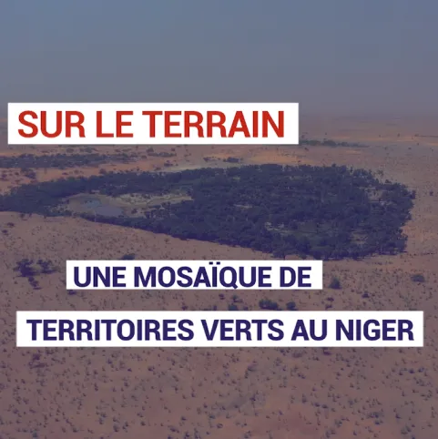 Une mosaïque de territoires verts au Niger