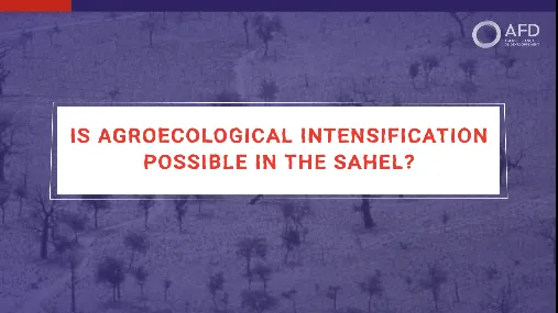 Is agroecological intensification possible in the Sahel?