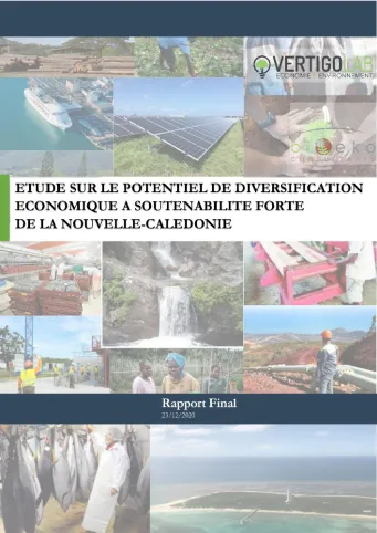 Etude sur le potentiel de diversification économique à soutenabilité forte  de la Nouvelle-Calédonie.