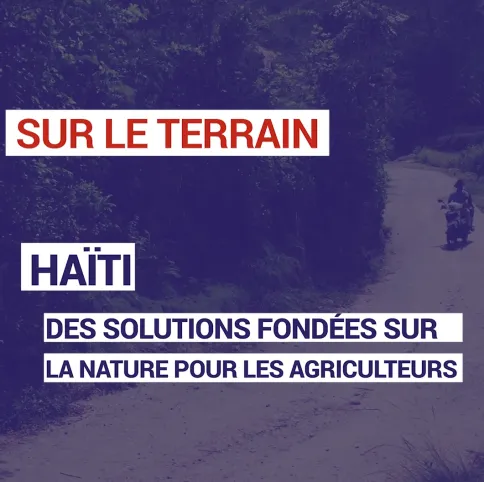 Haïti : des solutions fondées sur la nature pour les agriculteurs