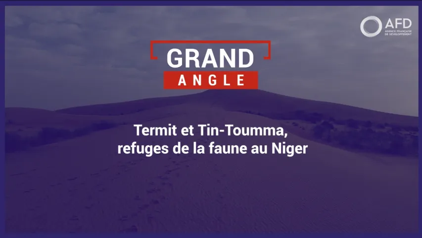 Termit et Tin-Toumma, refuges de la faune au Niger