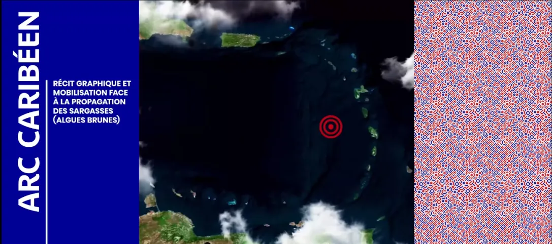 Arc Caribéen : Récits graphique et mobilisation face à la propagation des sargasses