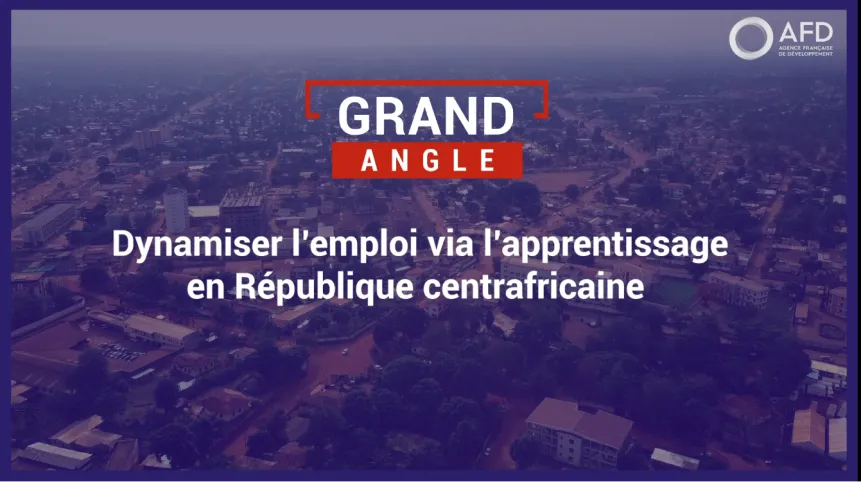 Dynamiser l'emploi via l'apprentissage en République centrafricaine