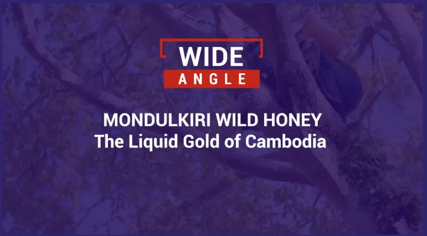 Cambodia Liquid Gold 
