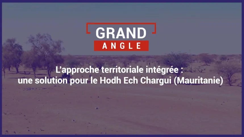 L'approche territoriale intégrée : une solution pour le Hodh Ech Chargui (Mauritanie)
