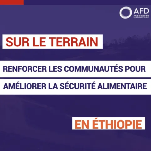 Renforcer les communautés pour améliorer la sécurité alimentaire en Éthiopie